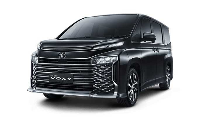 Voxy